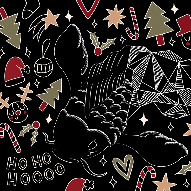 Coqui Castillo: Packaging navideño